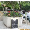 Eröffnung (02.07.2010)